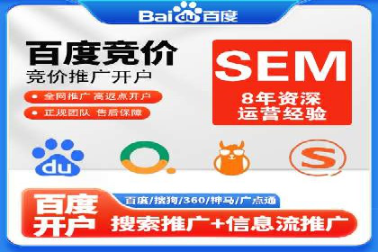 百度SEM推广策略：成功案例解析